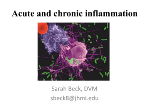 Acute and chronic inflammation