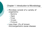 Chapter 1: Introduction to Microbiology