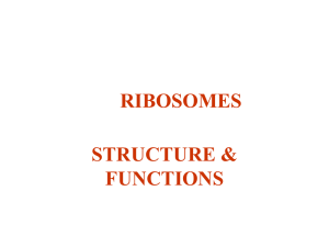 RIBOSOMES