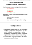 Cell – environment biomechanical interaction Cell