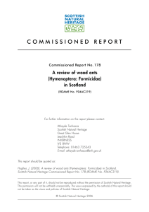 Report No. 178 A review of wood ants (Hymenoptera: Formicidae) in