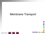 Membrane Transport - Manasquan Public Schools