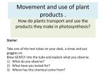 How plants use Glucose