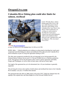 Columbia River fishing plan could alter limits for salmon, steelhead