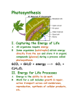 Photosynthesis unit notes