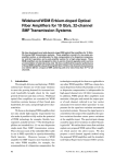 Wideband WDM Erbium-doped Optical Fiber Amplifiers for