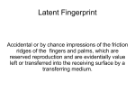 Latent Fingerprint