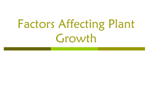 Factors Affecting Plant Growth - hills