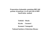 Preparation of plasmids containing HBV-full genome of