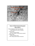 Recording Techniques Goal of Electrophysiological Recording