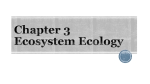 Chapter 3 Ecosystem Ecology