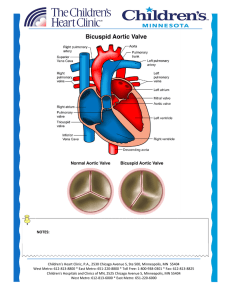 Bicuspid Aortic Valve - Children`s Heart Clinic