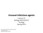 Unusual infectious agents