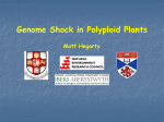 Genome Shock in Polyploid Plants