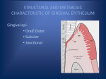 structural and metabolic characteristic of gingival epithelium