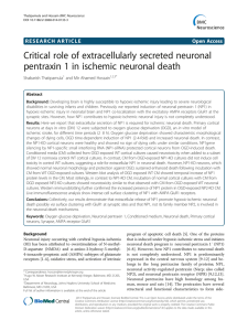 Critical role of extracellularly secreted neuronal pentraxin 1 in