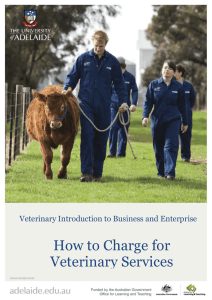 How to Charge for Veterinary Services (Georgia 40pt)