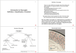 Introduction to Neuroglia