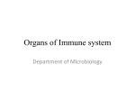 Organs of Immune system