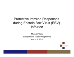 Protective Immune Responses during Epstein Barr Virus (EBV