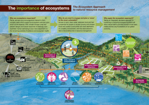 The importance of ecosystems