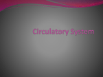 Circulatory System