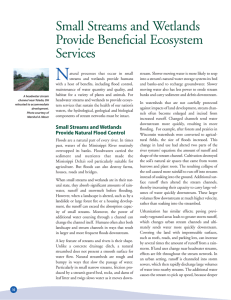 Small Streams and Wetlands Provide Beneficial Ecosystem Services