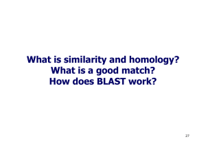 What is similarity and homology? What is a good match? How does