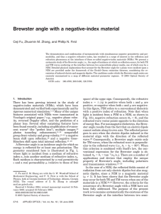 Brewster angle with a negative-index material