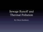 Sewage Runoff and Thermal Pollution