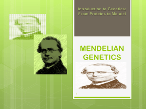 mendelian genetics