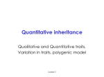 Quantitative inheritance