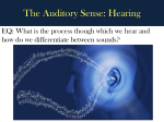 The Auditory Sense: Hearing