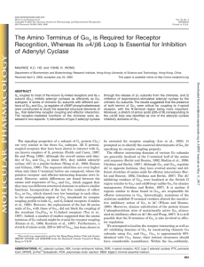 The Amino Terminus of Gαz is Required for Receptor Recognition
