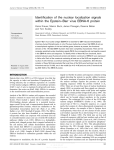 Identification of the nuclear localization signals within the Epstein