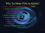 Why So Many Fish in Alaska?