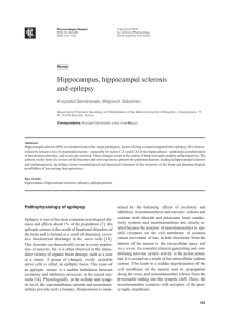Hippocampus, hippocampal sclerosis and epilepsy