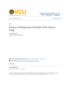 Analysis of Mathematical Models of the Human Lung