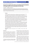 Consumer trophic diversity as a fundamental mechanism linking