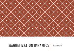 Magnetization Dynamics