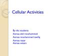 Cellular Activities