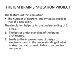 the ibm brain simulator project