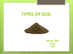 TYPES OF SOIL Mansi Jain B.Ed VDIT SOIL