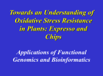 Applications of Functional Genomics and Bioinformatics