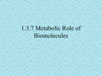 1.3.7 Metabolic Role of Biomolecules