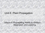 Unit E: Plant Propagation