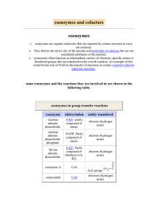 coenzymes and cofactors