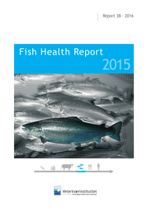 Fish Health Report - Veterinærinstituttet