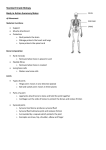 Body in Action summary notes