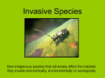 Invasive Species